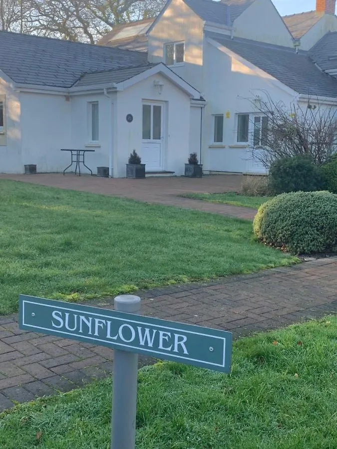 Sunflower Apartment, Family Near In Pembrokeshire Apartment