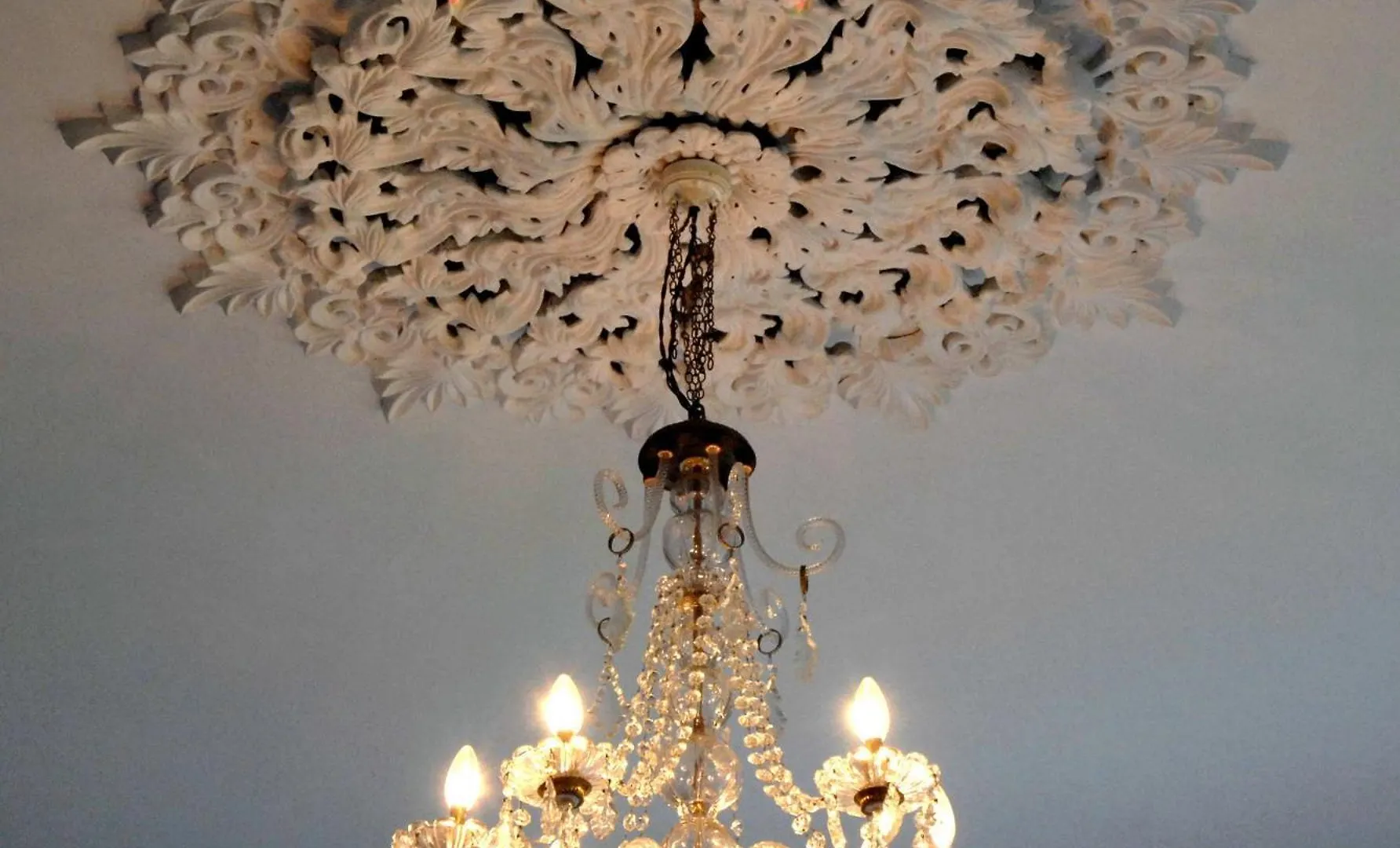 Bed & Breakfast Elm Grove