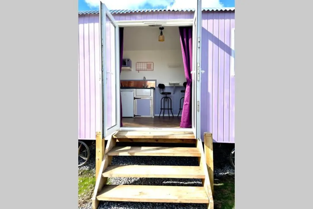 Lilac Tree Hut * Tenby