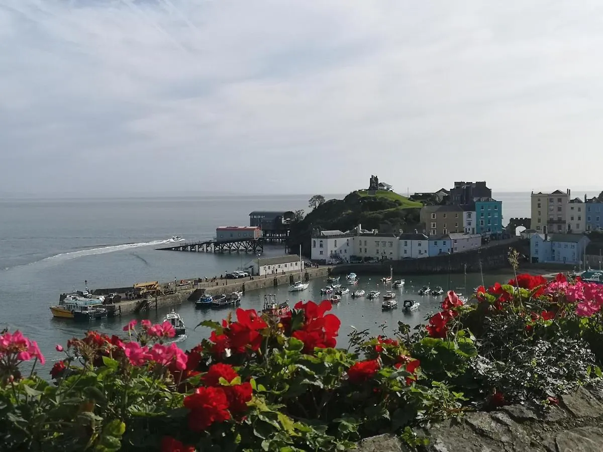 Ivy Bank Guest House, Affittacamere Tenby