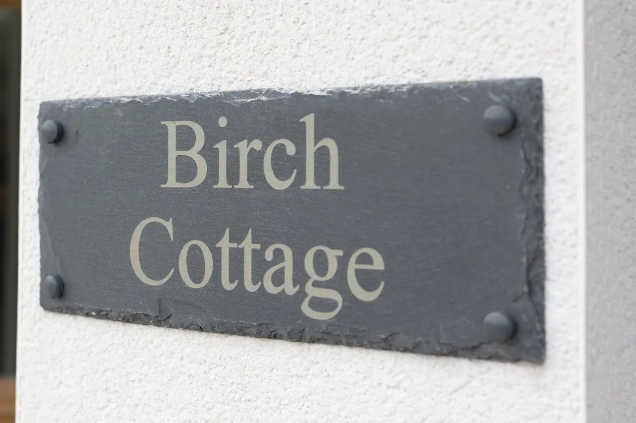 Birch Tenby