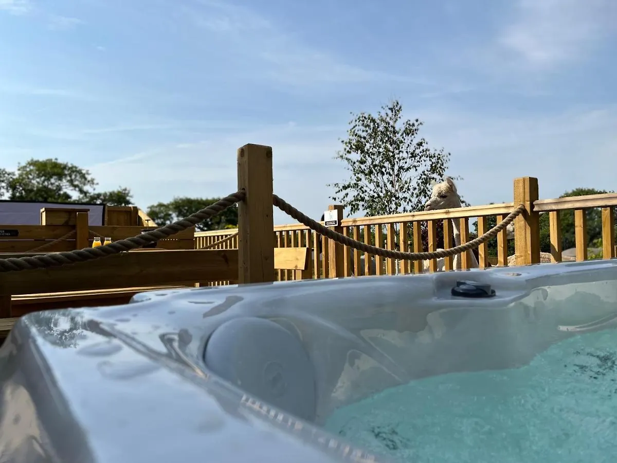 Luxury tent Jungle Book Safari Tent *