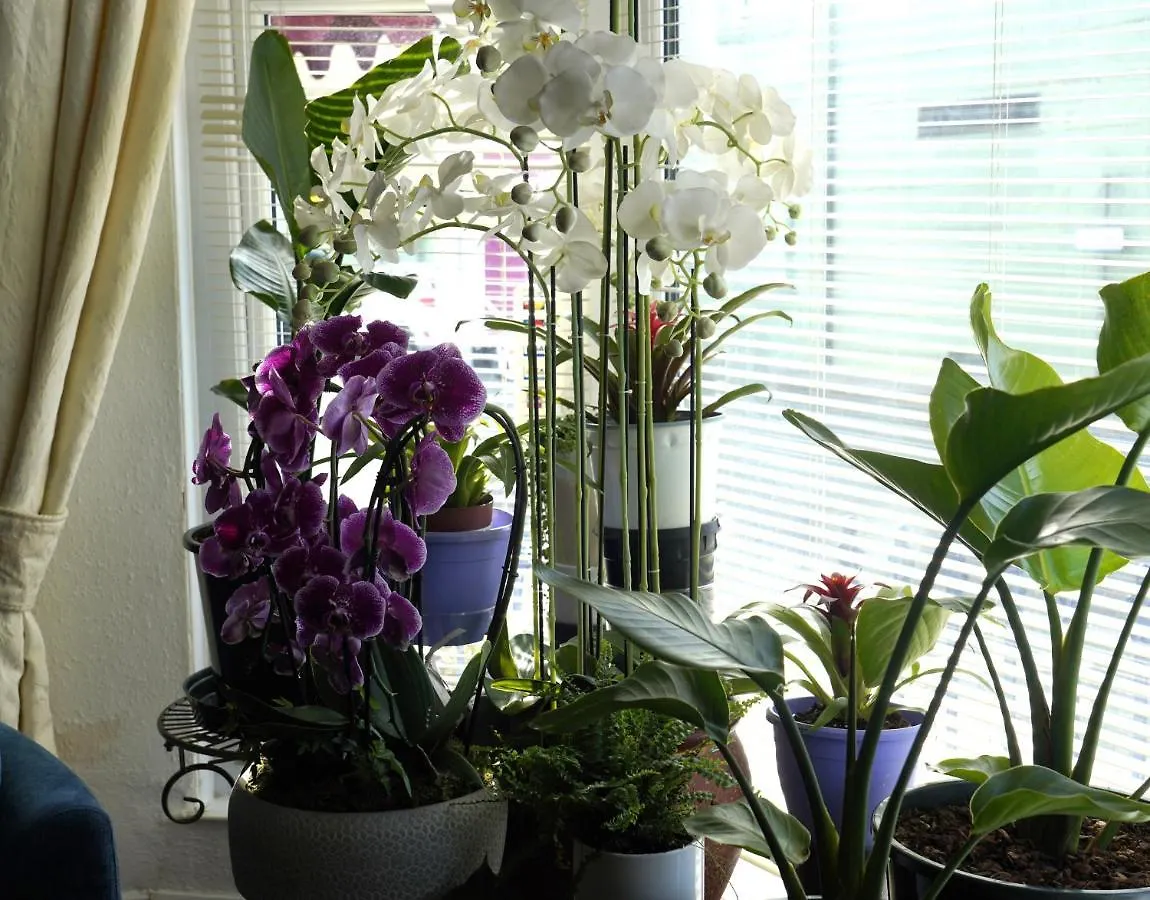 Marlborough Guest House B & B 3* Tenby
