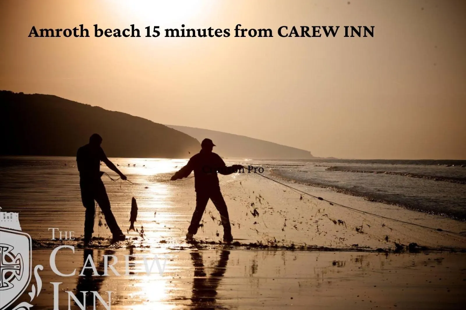 Inn Carew Inn Carew