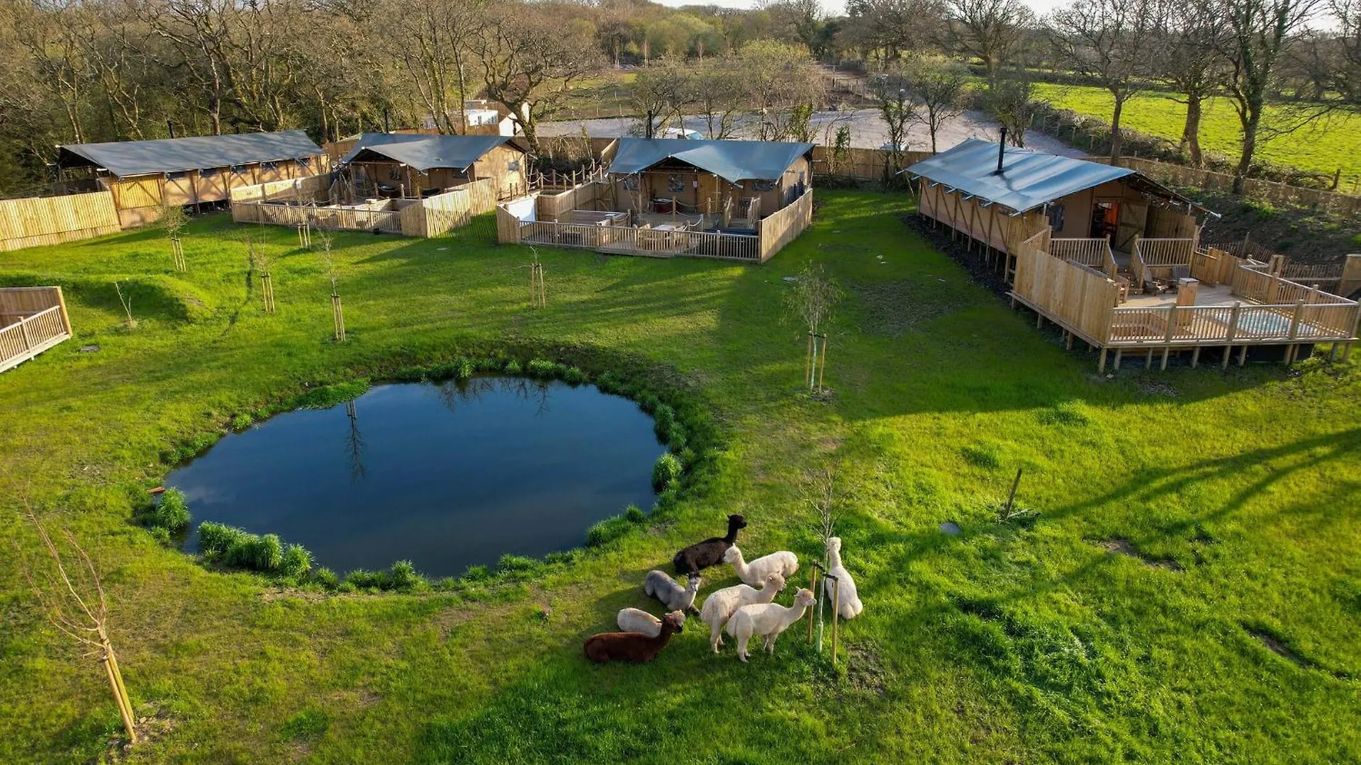 Luxury tent Jungle Book Safari Tent *