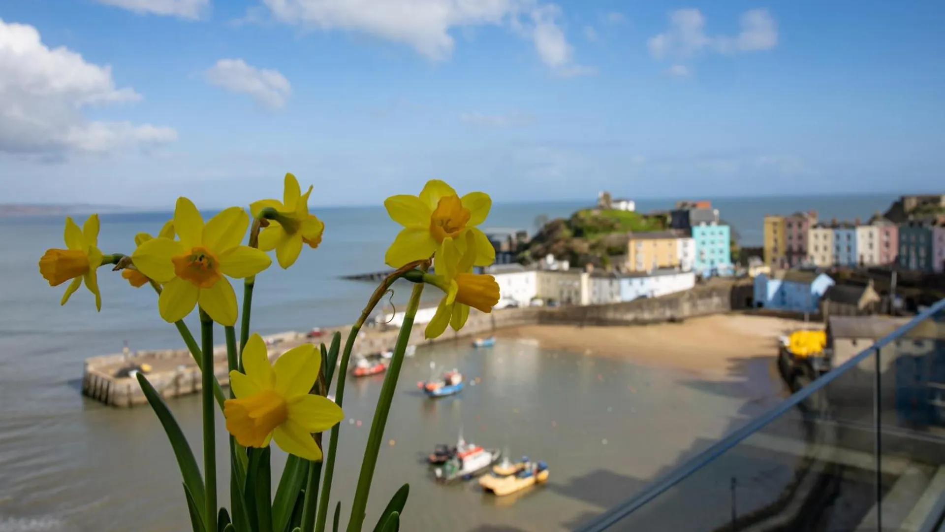 Royal Victoria Court 11 - Sea And Harbour Views Apartment Tenby