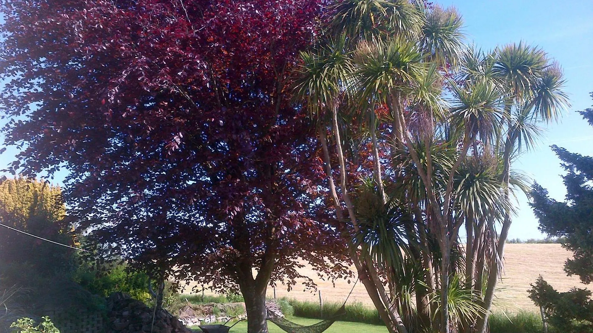 Bed & Breakfast Wychwood House Penally