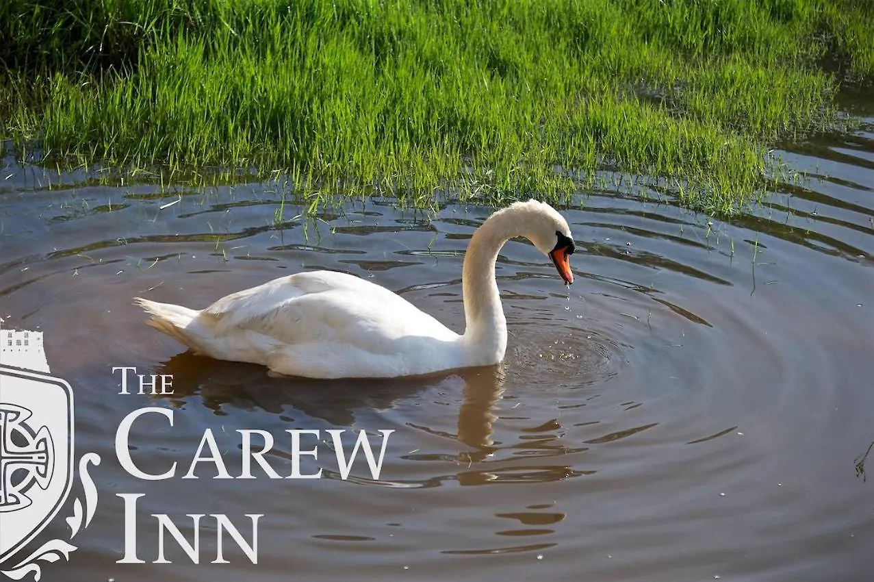Carew Inn 宾馆 Carew