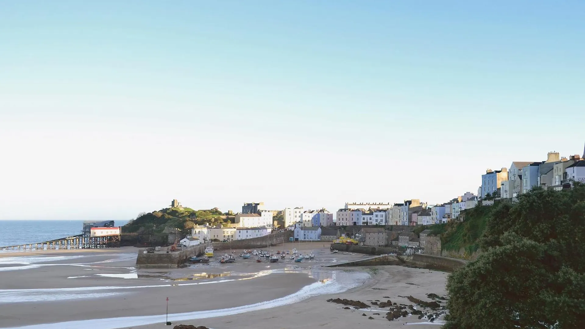 Rose Tenby