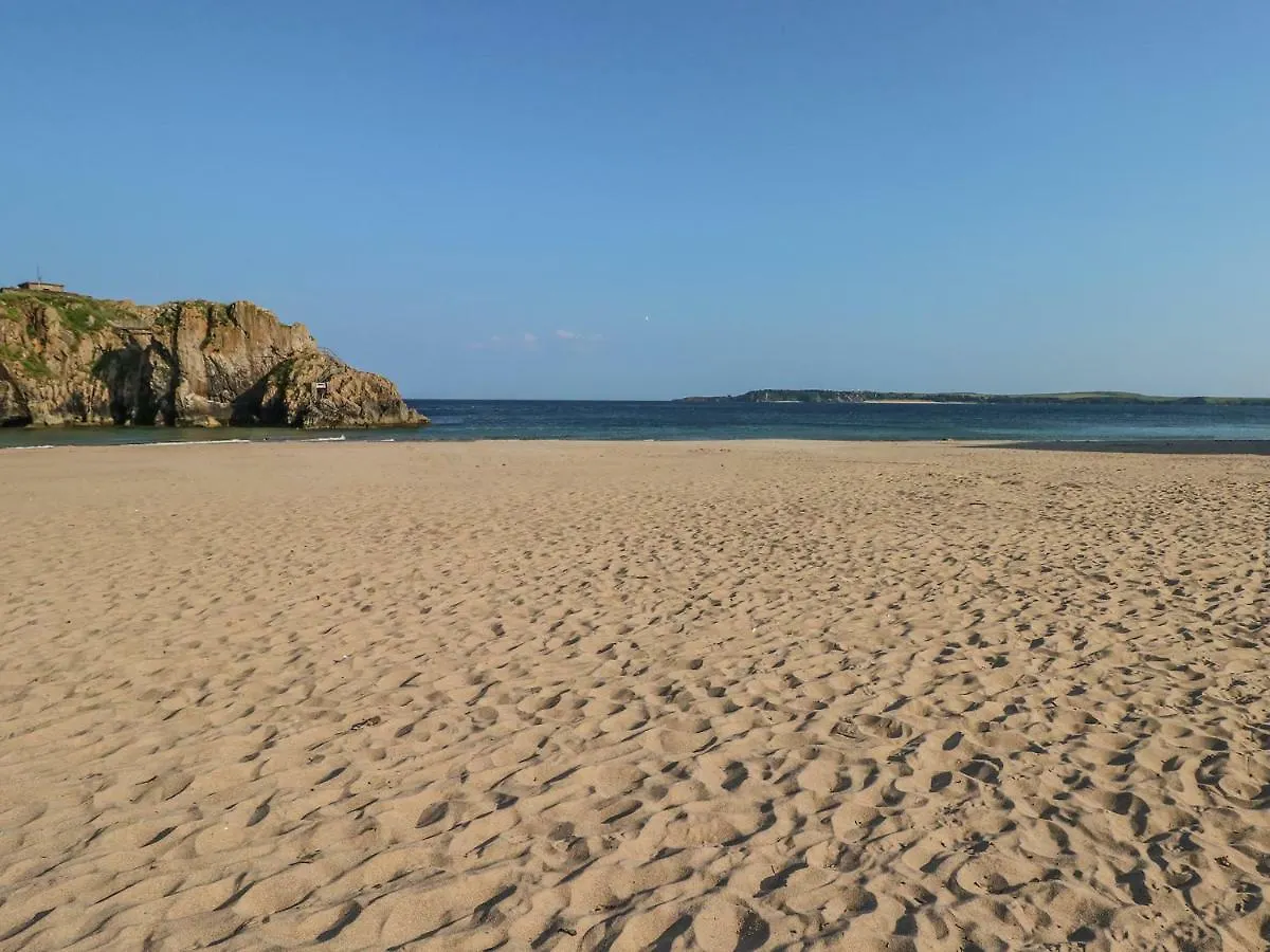 Willow Tenby